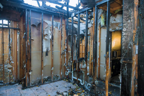 Professional Fire Damage Removal technician working in Highlands Ranch, CO